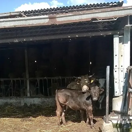 Carso Çiftlik konaklama