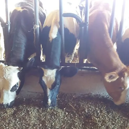 Farmház Carso Alberese