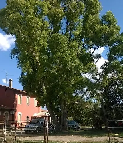 Κατάλυμα σε φάρμα Carso *