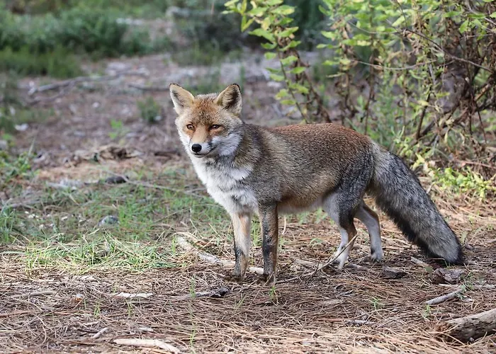Carso Κατάλυμα σε φάρμα