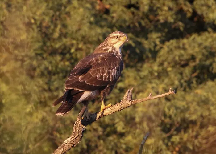 Carso ファームステイ