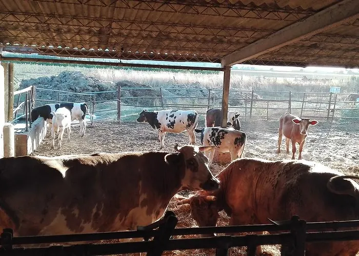 Carso Κατάλυμα σε φάρμα Alberese