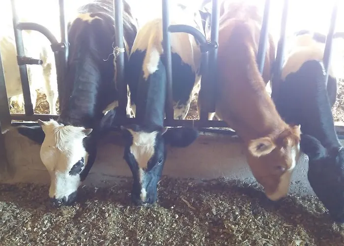 Κατάλυμα σε φάρμα Carso Alberese