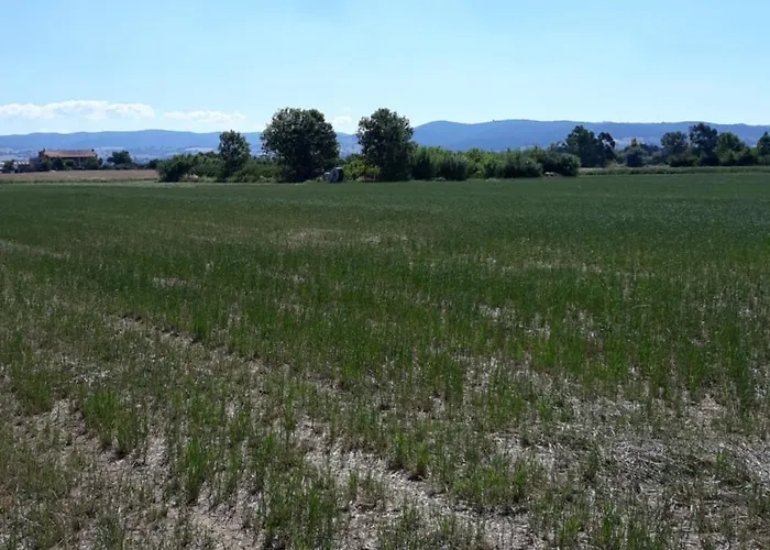 Κατάλυμα σε φάρμα Carso Alberese