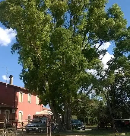 Farm stay Carso *