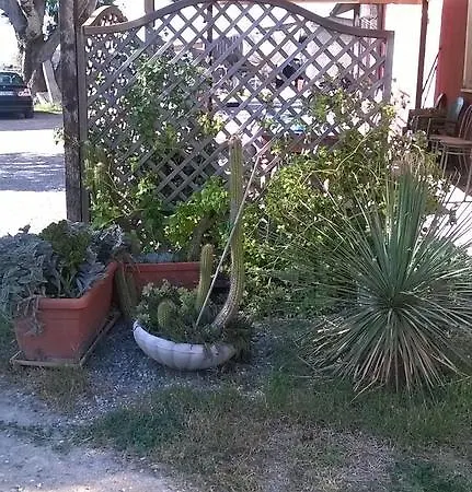 Carso Farm stay *