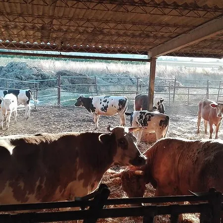 Carso Farm stay Alberese