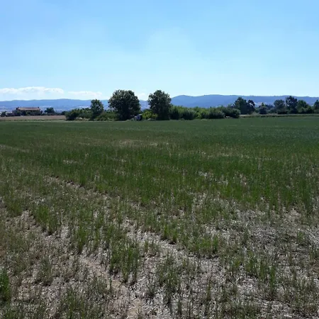 Farm stay Carso Alberese