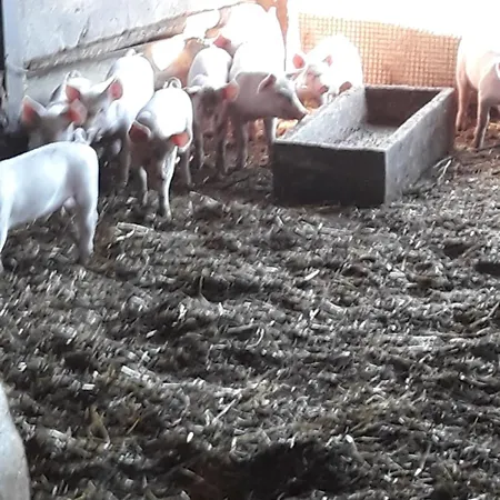 Carso Agroturismo *